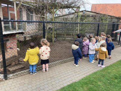 Een bezoekje aan de kippenren. 