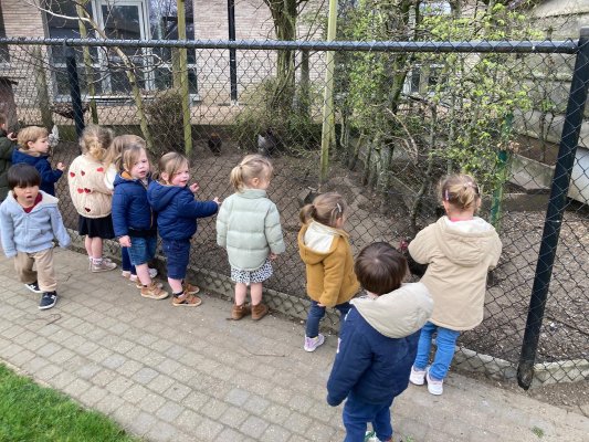 Een bezoekje aan de kippenren. 