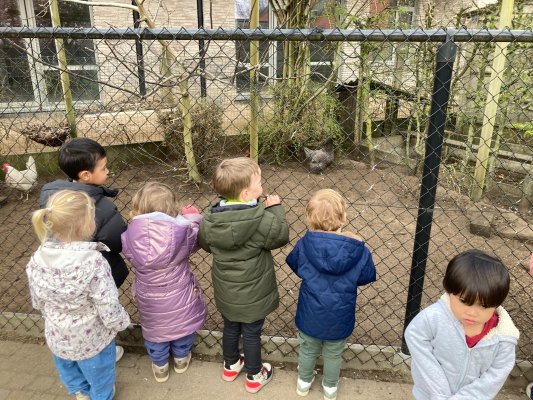 Een bezoekje aan de kippenren. 