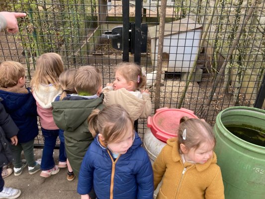 Een bezoekje aan de kippenren. 