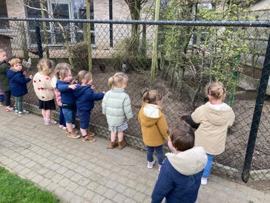 Een bezoekje aan de kippenren. 