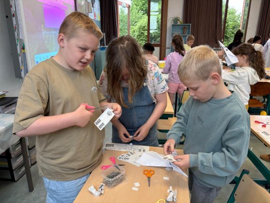 Mad Science in 3A en 3B🧪🔬🧫