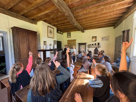 Naar Bokrijk met het 3de leerjaar!