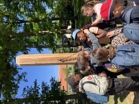 Naar Bokrijk met het 3de leerjaar!