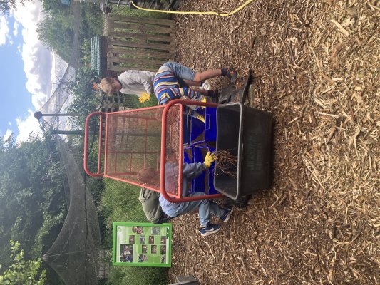 Naar het containerpark met de derdeklassers