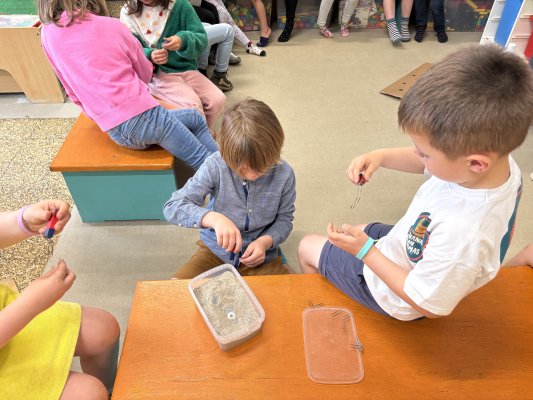 Mad science in de kleuterklas 