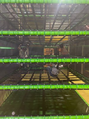 Schoolreis Raf en Otje ( deel 1)