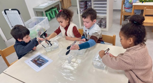 Mad science op bezoek 