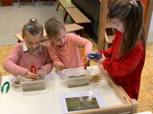 Mad science (Stotert)