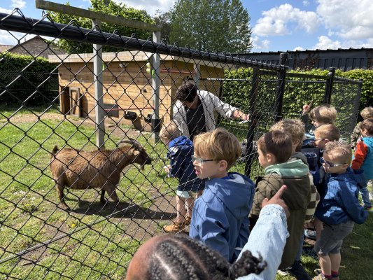 Thema boerderij