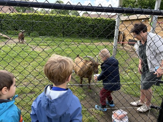 Thema boerderij
