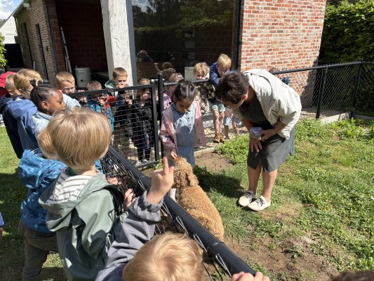 Thema boerderij