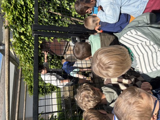 Thema boerderij