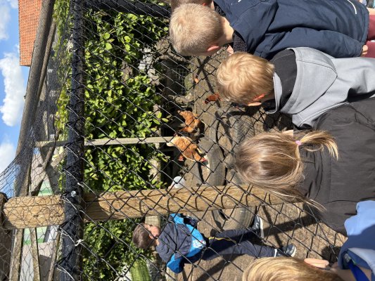 Thema boerderij