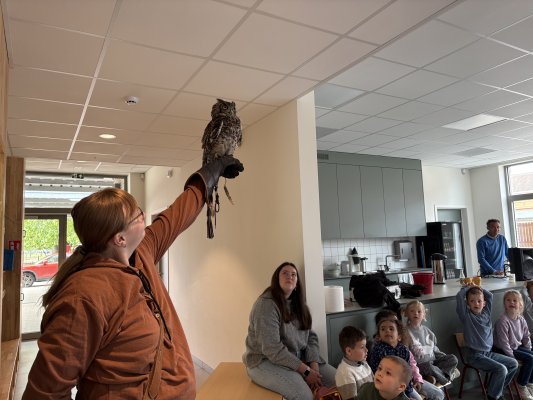 Roofvogelshow