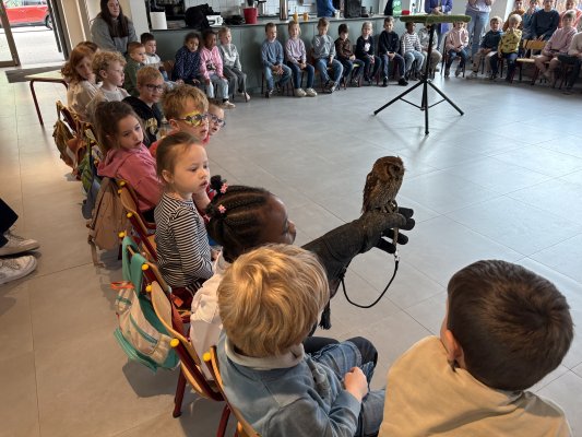 Roofvogelshow