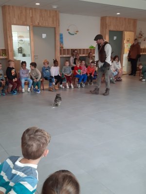 Roofvogelshow