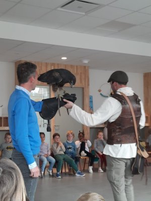 Roofvogelshow