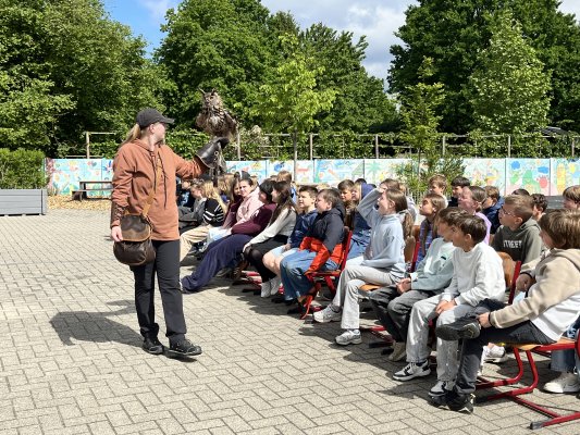 Roofvogelshow