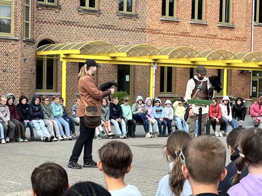 Roofvogelshow