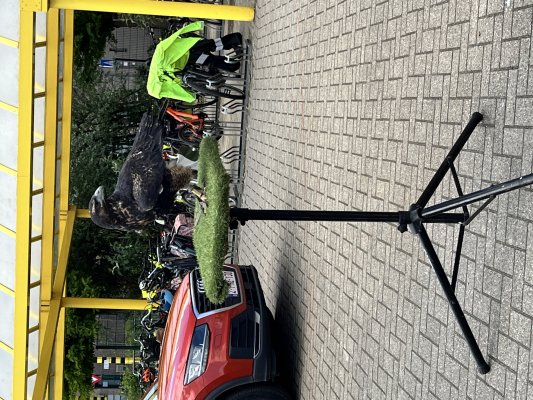 Roofvogelshow