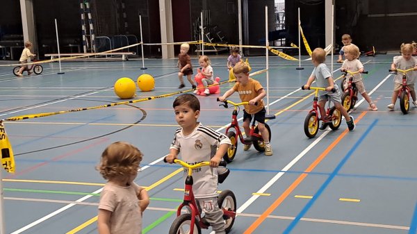 Sportdag