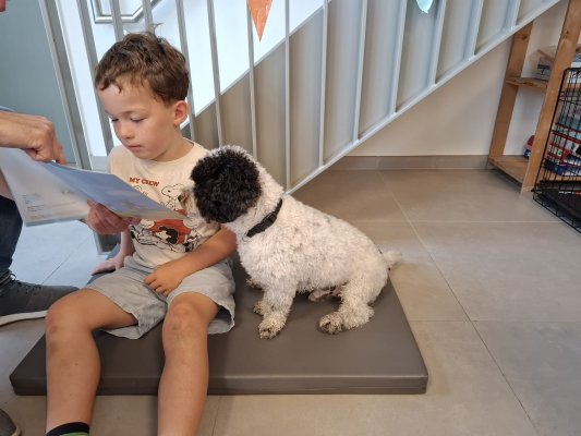Lezen met Ollie