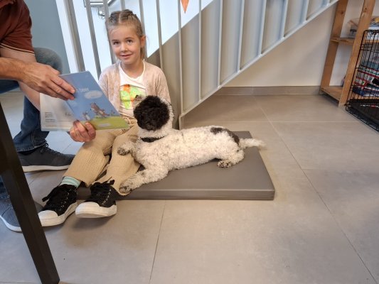 Lezen met Ollie