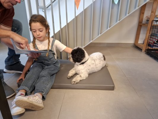 Lezen met Ollie