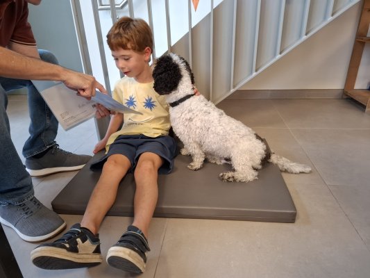 Lezen met Ollie