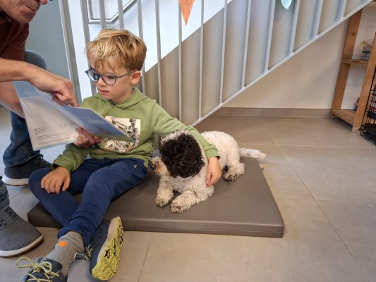Lezen met Ollie
