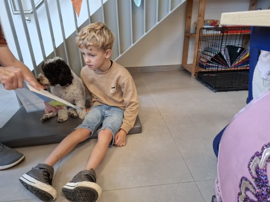 Lezen met Ollie
