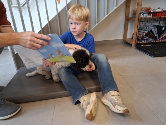 Lezen met Ollie