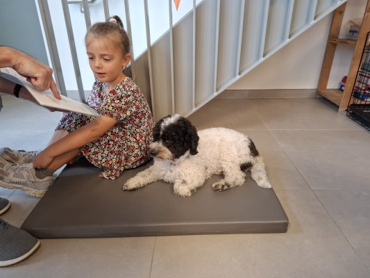 Lezen met Ollie