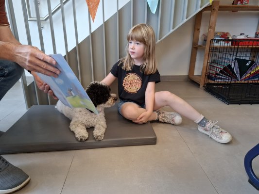 Lezen met Ollie