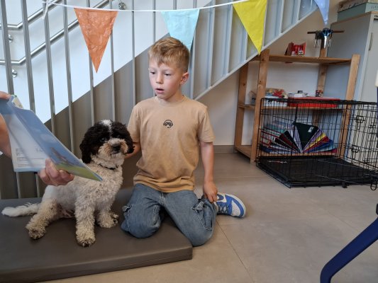 Lezen met Ollie