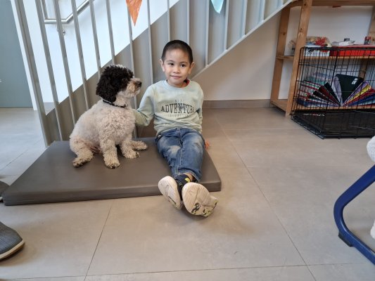 Lezen met Ollie