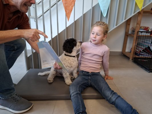 Lezen met Ollie