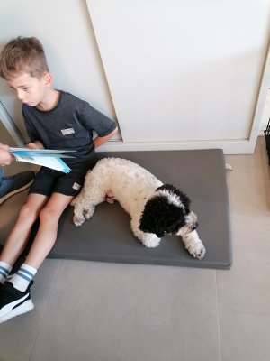Lezen met Ollie