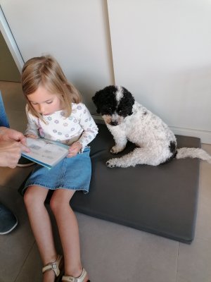 Lezen met Ollie