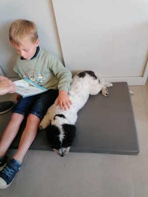 Lezen met Ollie