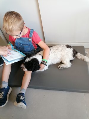 Lezen met Ollie