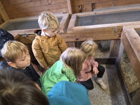 Uitstap Struisvogelnest 
