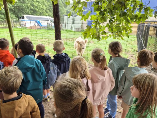 Uitstap Struisvogelnest 
