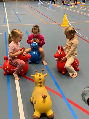 Rollebolle
