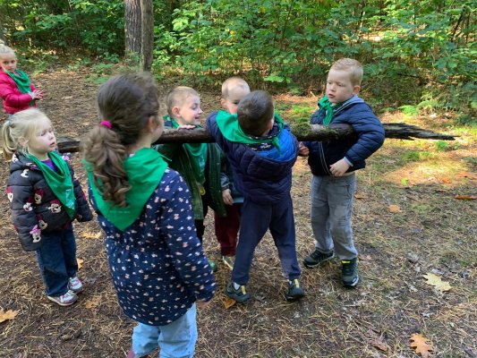Bosuitstap naar de Merel