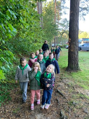 Bosuitstap naar de Merel