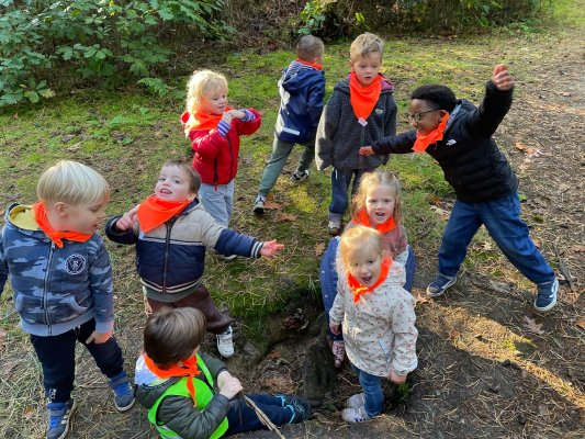 Bosuitstap naar de Merel