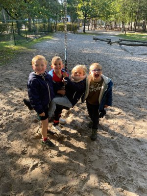Bosuitstap naar de Merel