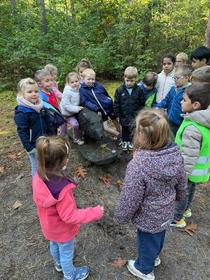Bosuitstap naar de Merel